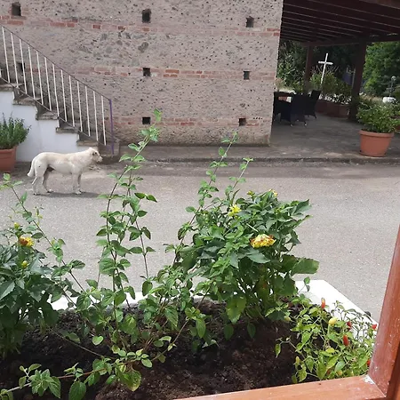 Azienda Agricola Neocastrum