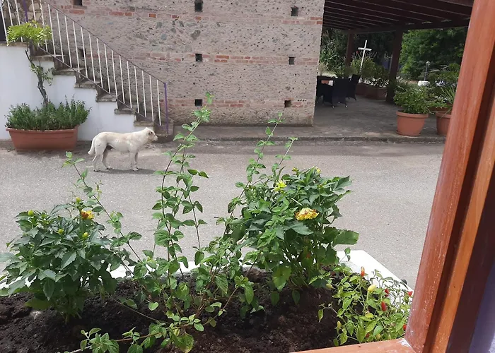 Azienda Agricola Neocastrum